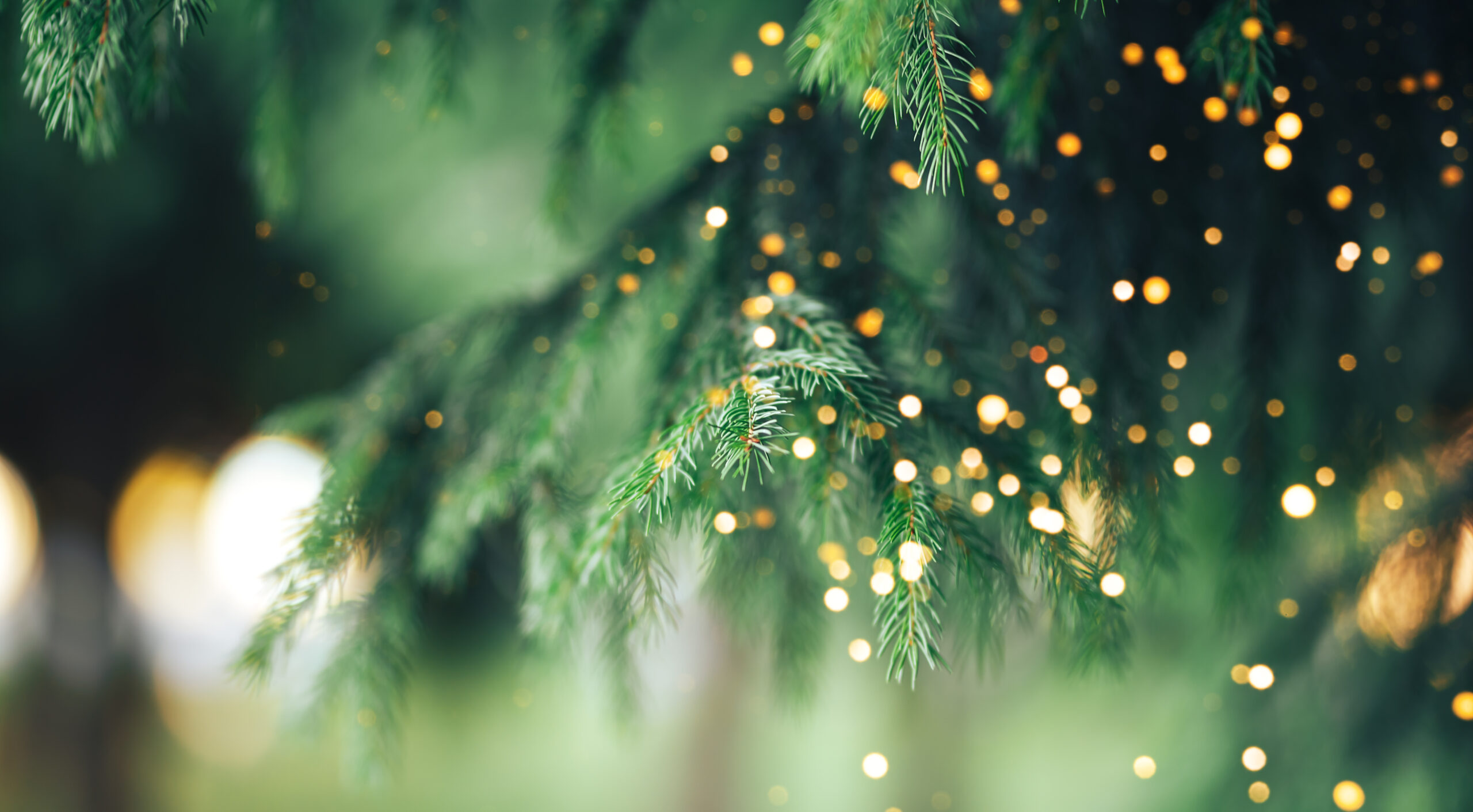 Trading hours for Christmas and New Year's