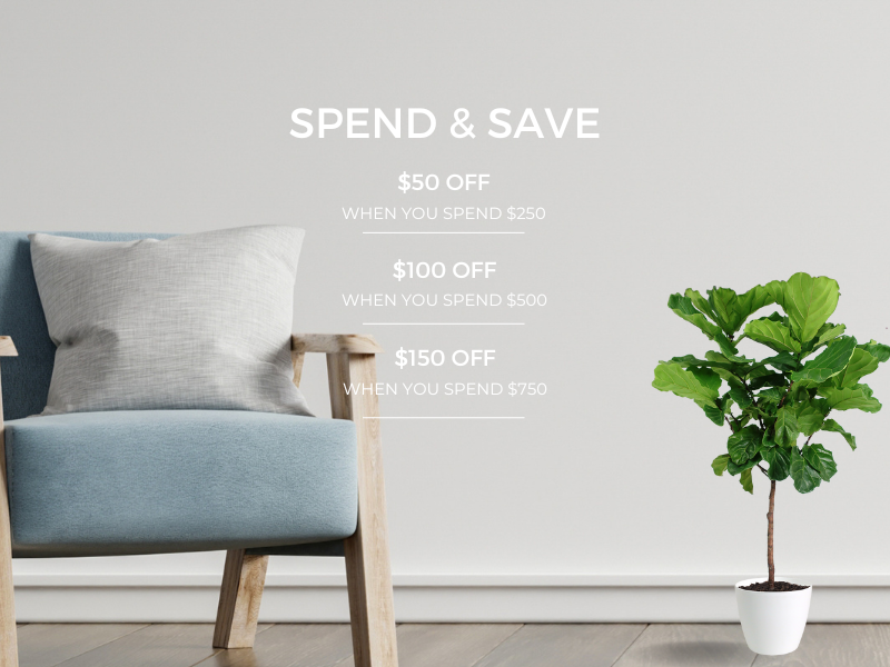 Frame More, Save More This October!